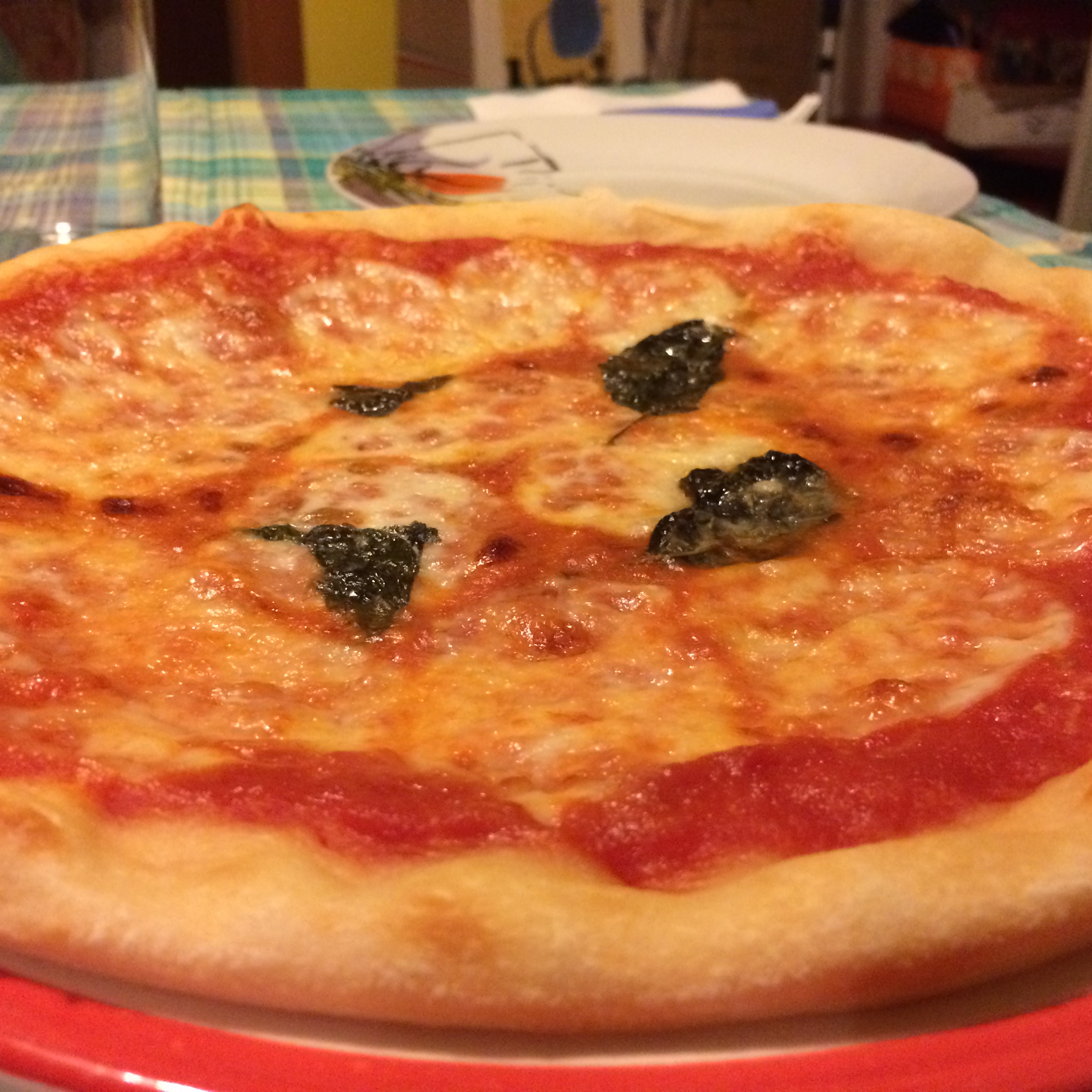 Pizza Margherita Verace, con San Marzano D.O.P. dell'Agro Sernese, Fior di Latte D.O.P., Basilico fresco e formaggio grattuggiato.